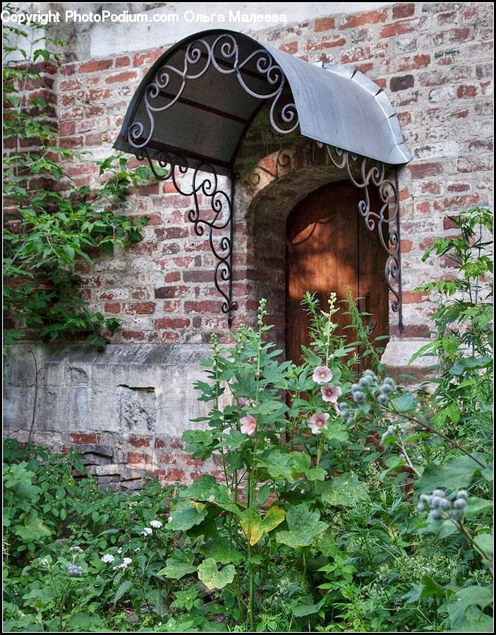 Brick, Plant, Vine, Potted Plant, Herbal, Herbs, Planter