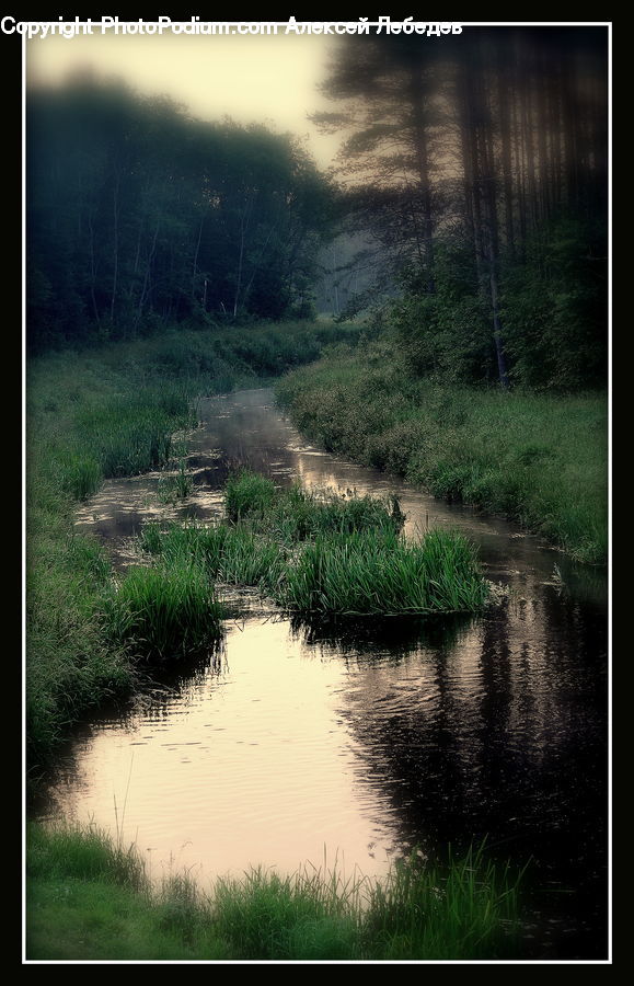 Canal, Outdoors, River, Water, Land, Marsh, Pond