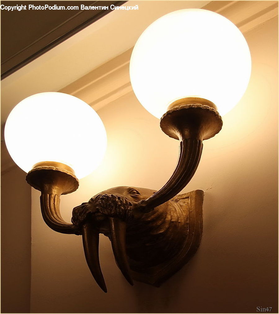 Lamp, Lighting, Lampshade, Dining Room, Indoors, Room