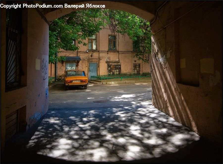 Plant, Potted Plant, Alley, Alleyway, Road, Street, Town