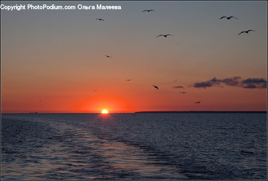 Dusk, Outdoors, Sky, Sunlight, Sunrise, Sunset, Ocean