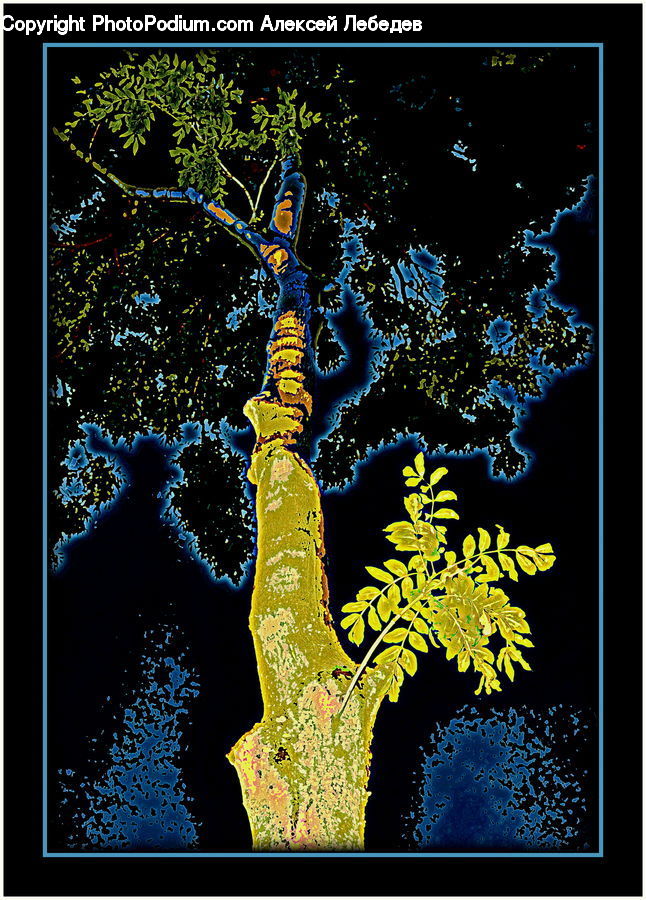 Bush, Plant, Vegetation, Birch, Tree, Wood, Atlas