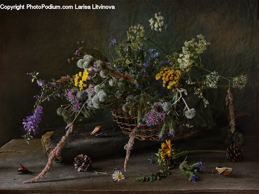 Floral Design, Flower, Flower Arrangement, Flower Bouquet, Ikebana, Plant, Potted Plant