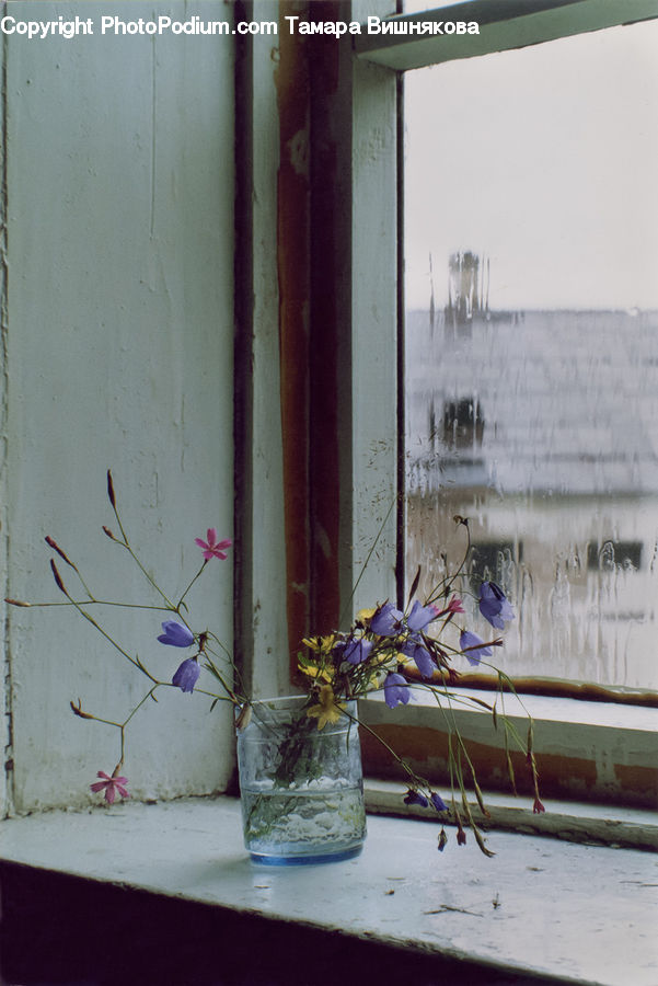 Plant, Potted Plant, Jar, Porcelain, Vase, Art, Modern Art