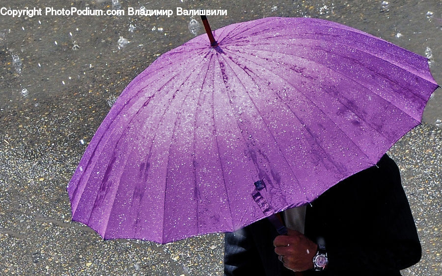 Umbrella, Glass, Butterfly, Insect, Invertebrate, Bling, Blossom
