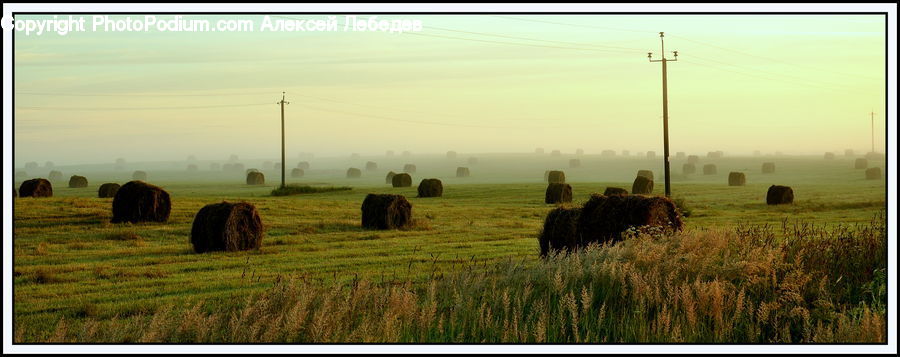 Field, Grass, Grassland, Land, Outdoors, Plant, Countryside