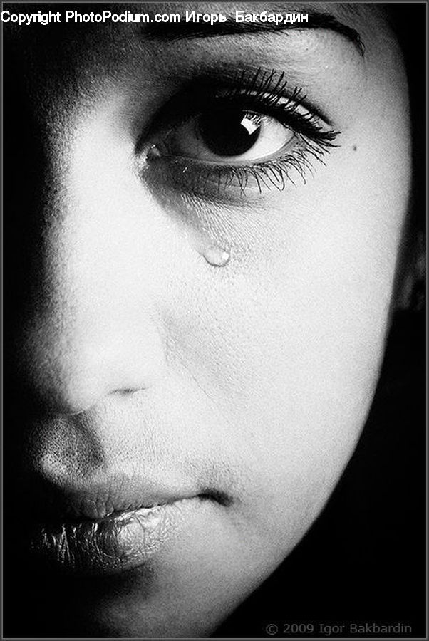 People, Person, Human, Portrait, Female, Head