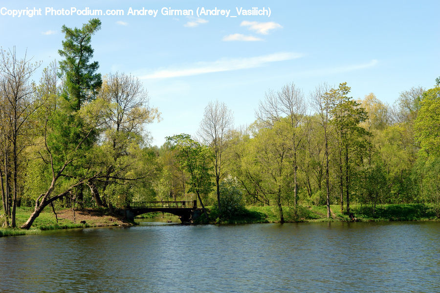 Outdoors, Pond, Water, Canal, River, Forest, Vegetation