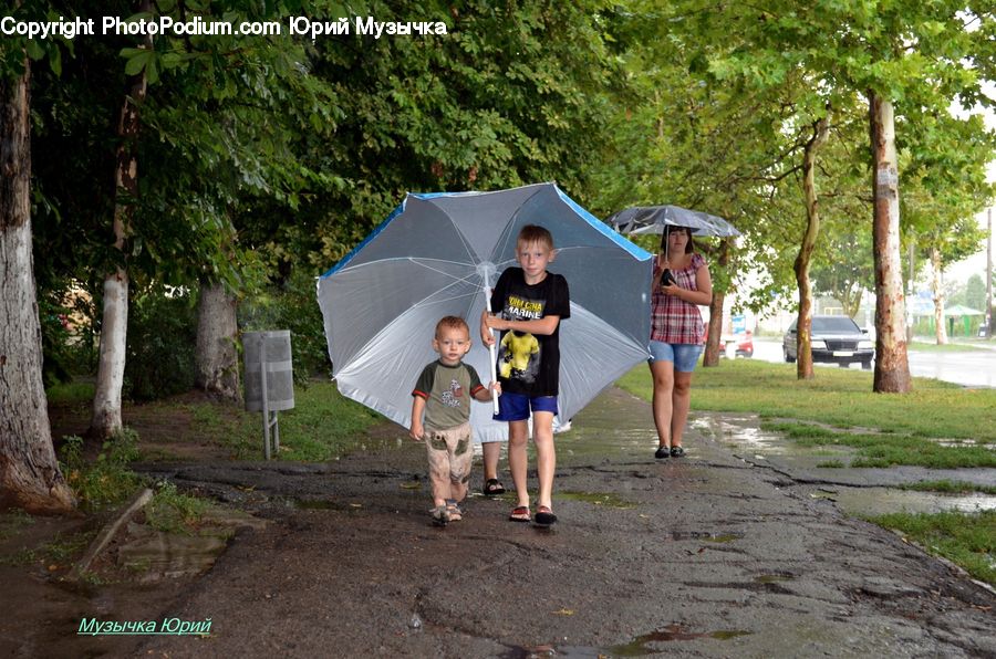 People, Person, Human, Umbrella, Camping, Shorts, Forest
