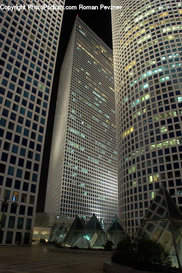 Plant, Potted Plant, Architecture, City, Downtown, High Rise, Skyscraper