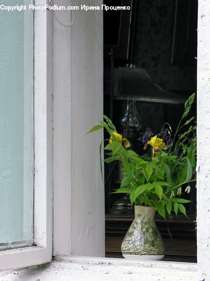 Plant, Potted Plant, Art, Painting, Still Life, Blossom, Flora