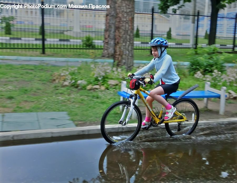 Human, People, Person, Bicycle, Bike, Vehicle, Bench