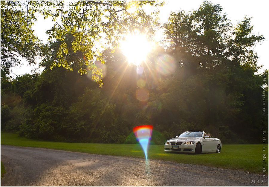 Flare, Light, Automobile, Car, Vehicle, Coupe, Sports Car