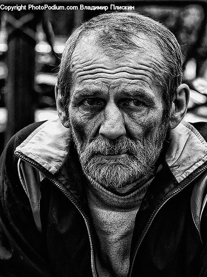 Person, Portrait, Face, People, Head