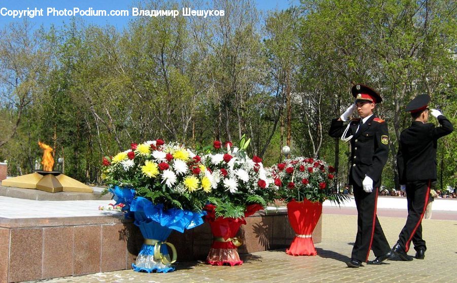 People, Person, Human, Plant, Potted Plant, Officer, Police