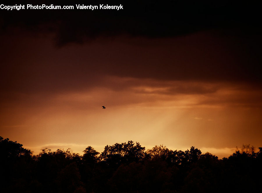 Dawn, Dusk, Red Sky, Sky, Sunrise, Sunset, Azure Sky