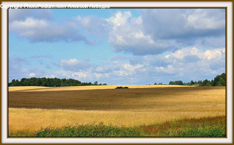 Field, Grass, Grassland, Land, Outdoors, Dirt Road, Gravel