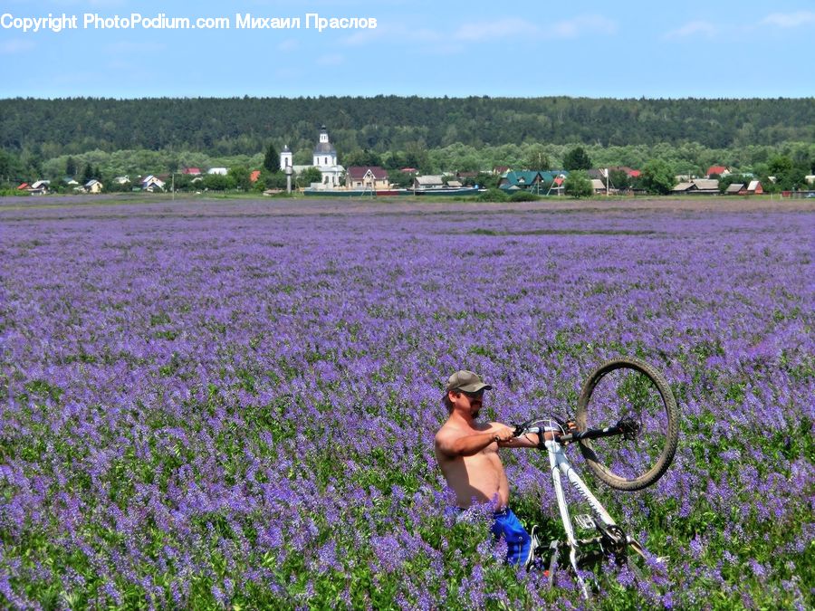 People, Person, Human, Bicycle, Bike, Vehicle, Blossom