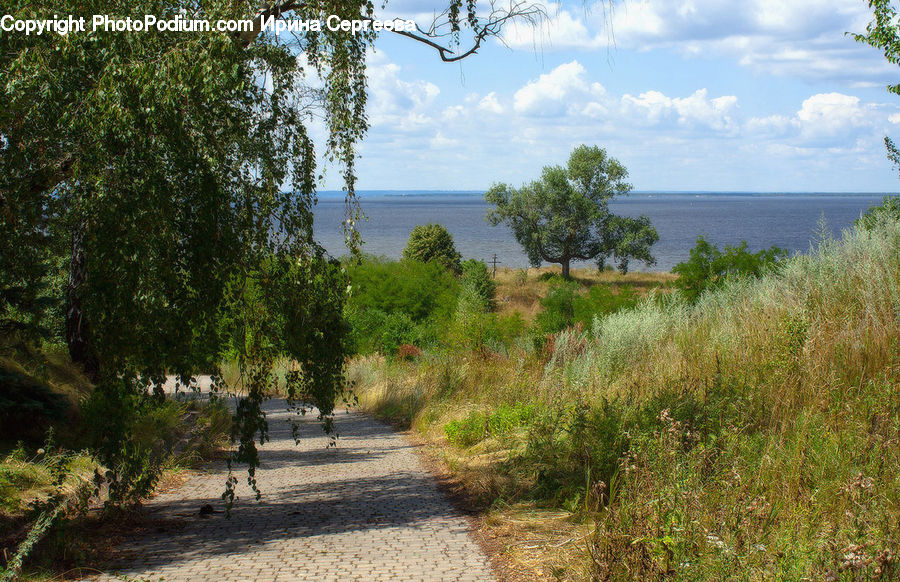Dirt Road, Gravel, Road, Path, Walkway, Boardwalk, Deck