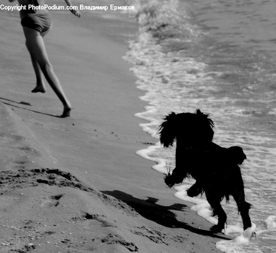 People, Person, Human, Outdoors, Sand, Soil, Beach