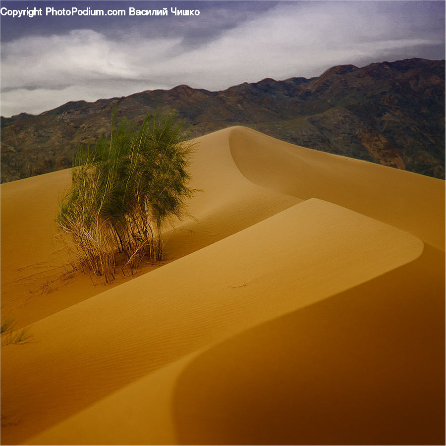 Desert, Outdoors, Dune
