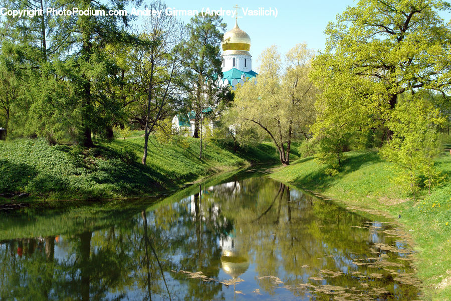 Canal, Outdoors, River, Water, Pond, Park, Blossom