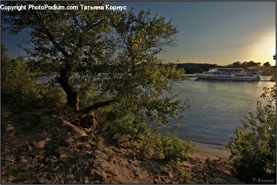 Lake, Outdoors, Water, Bush, Plant, Vegetation, Tree