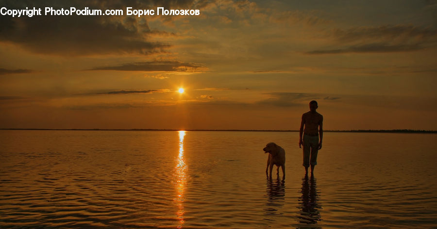 Beach, Coast, Outdoors, Sea, Water, Leisure Activities