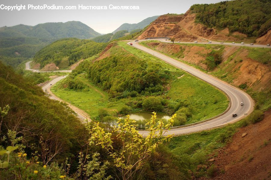 Plant, Potted Plant, Dirt Road, Gravel, Road, Countryside, Hill