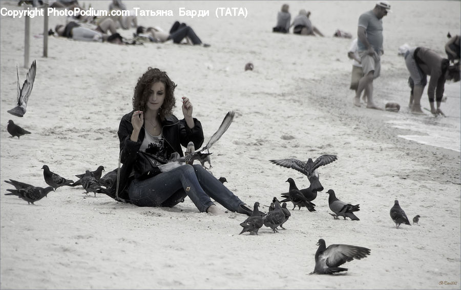 Human, People, Person, Bird, Pigeon, Animal, Horse