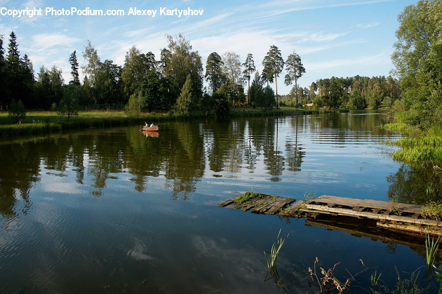 Outdoors, Pond, Water, Lake, Conifer, Fir, Plant