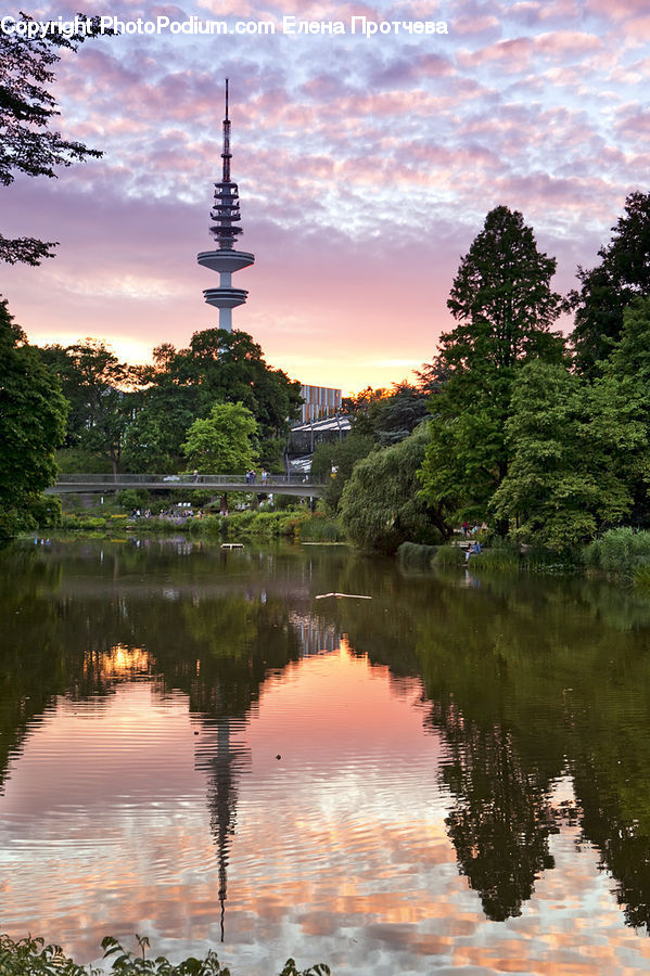 Architecture, Pagoda, Shrine, Temple, Worship, Plant, Tree