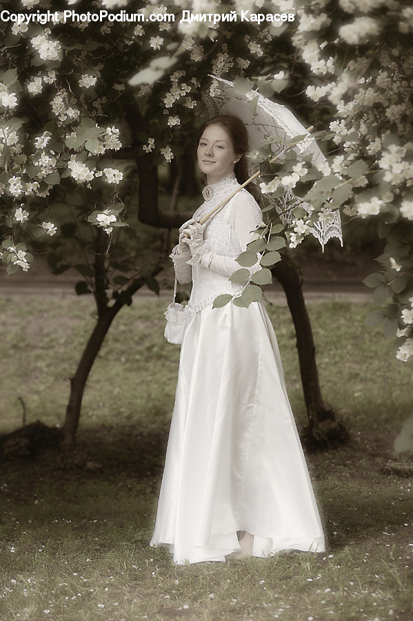People, Person, Human, Evening Dress, Gown, Clothing, Dress