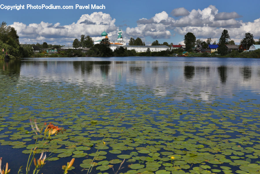 Building, Cottage, Housing, Lake, Outdoors, Water, Harbor