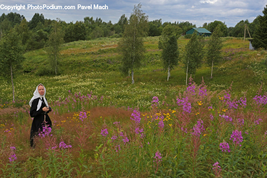 Human, People, Person, Lavender, Plant, Field, Grass