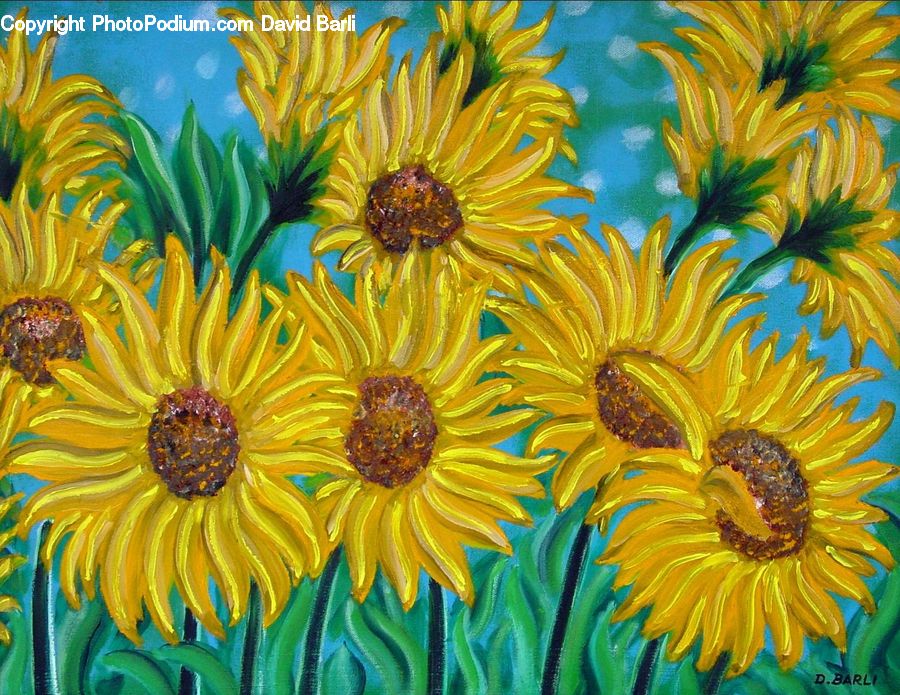 Asteraceae, Blossom, Flora, Flower, Plant, Art, Modern Art