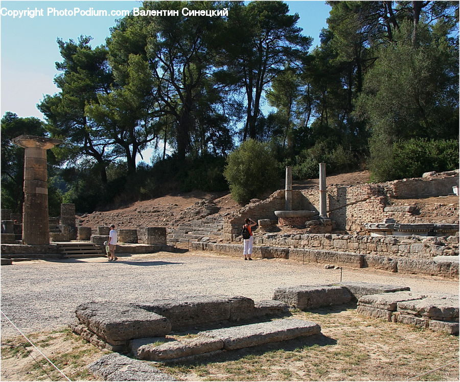 Ancient Egypt, Ruins, Flagstone, Conifer, Fir, Plant, Tree