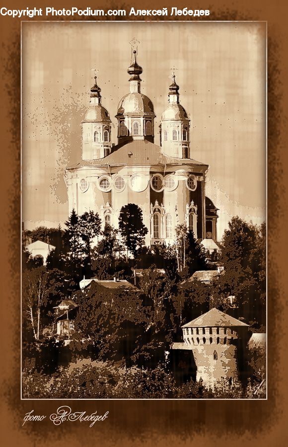 Plant, Potted Plant, Aerial View, Architecture, Church, Worship, Housing