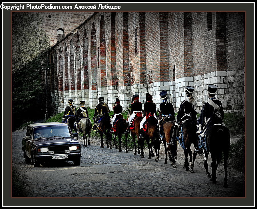 Animal, Horse, Mammal, Car, Suv, Vehicle, Automobile