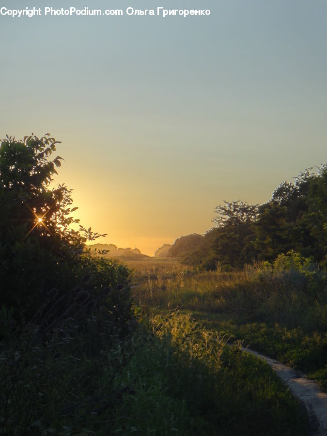 Dawn, Dusk, Sky, Sunrise, Sunset, Flare, Light