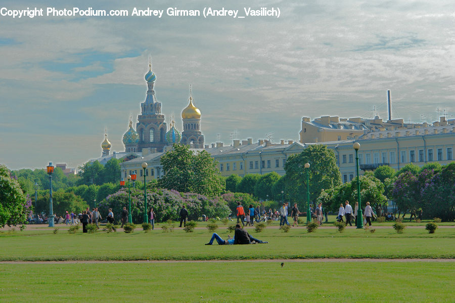 Parliament, Architecture, Tower, Cathedral, Church, Worship, Field