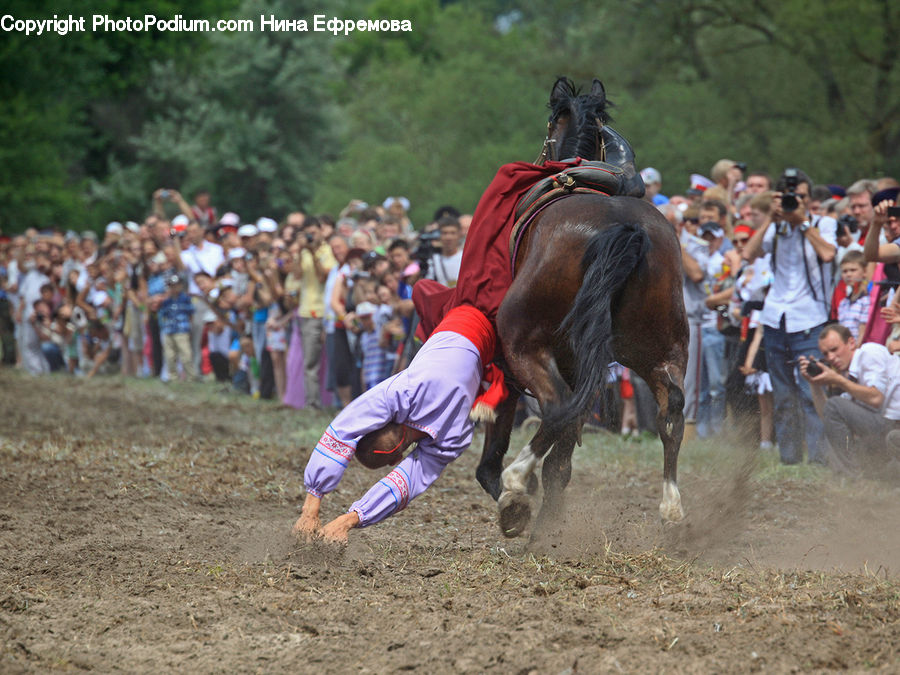 People, Person, Human, Rodeo, Animal, Equestrian, Horse