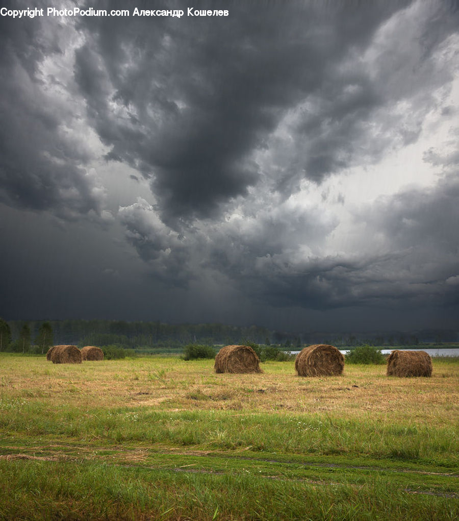 Field, Grass, Grassland, Land, Outdoors, Countryside, Hay