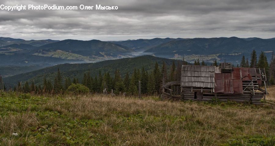 Cabin, Hut, Rural, Shack, Shelter, Freight Car, Shipping Container