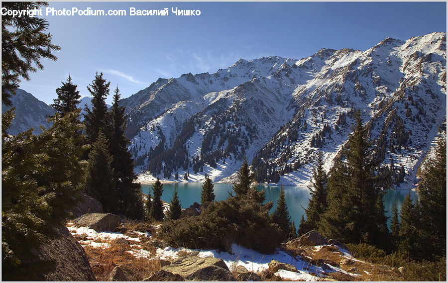Crest, Mountain, Outdoors, Peak, Conifer, Fir, Spruce