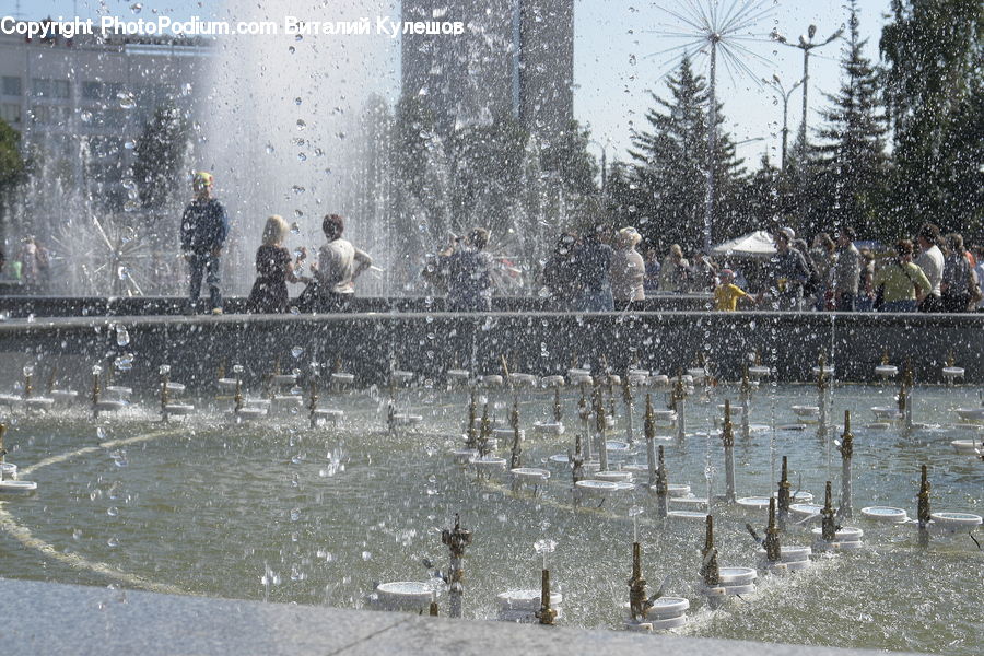 Bird, Waterfowl, Fountain, Water