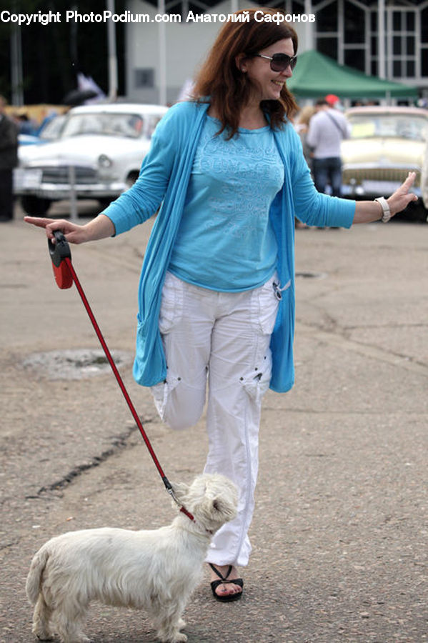 People, Person, Human, Automobile, Car, Vehicle, Leash