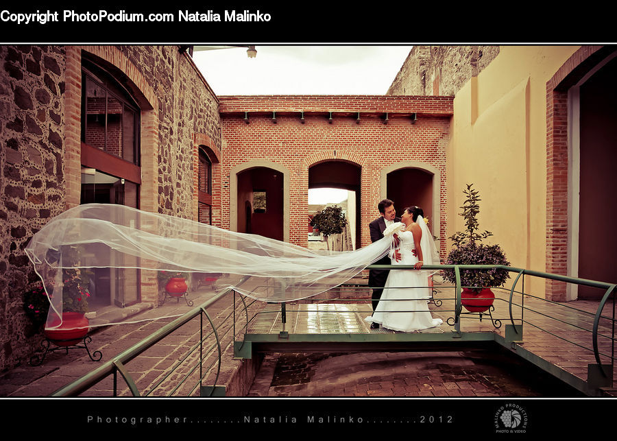 Plant, Potted Plant, Bonsai, Tree, Bride, Gown, Person