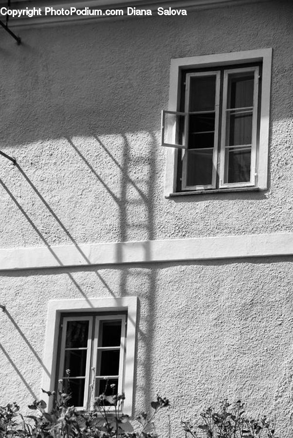 Brick, Window, Fence, Wall, Ivy, Plant, Vine