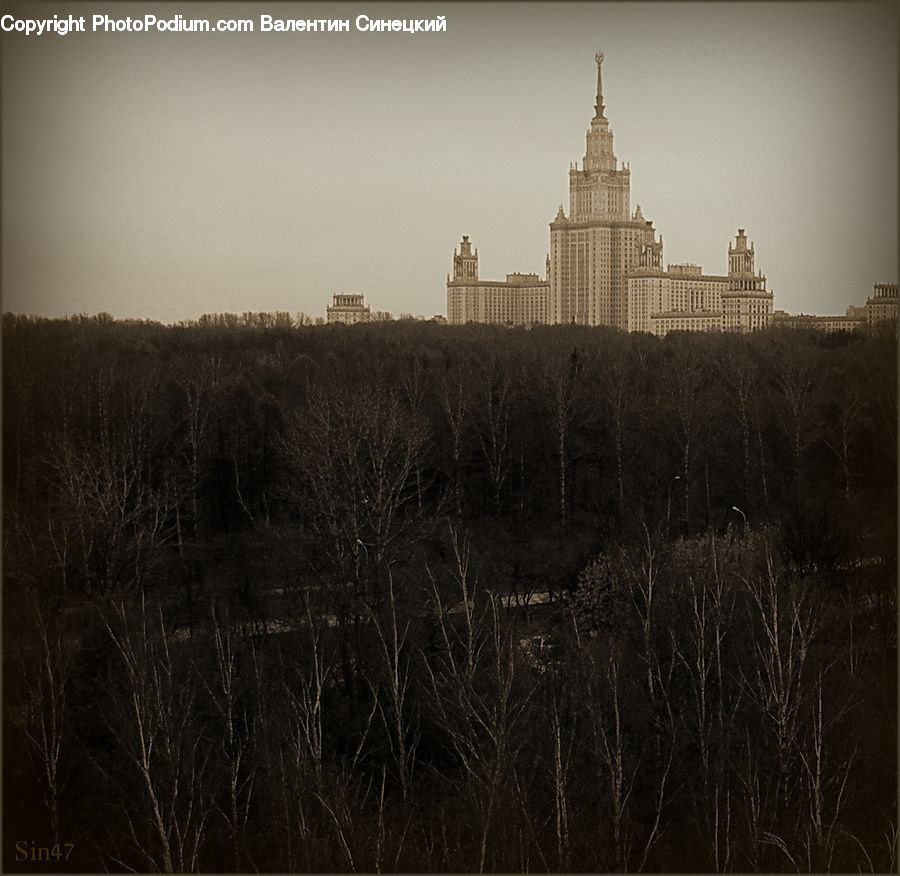 Grass, Plant, Reed, Architecture, Tower, Field, Grassland